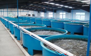 什么是流水养殖