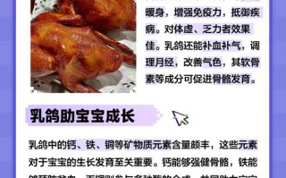 什么品种鸽子营养价值最高？