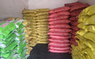 养猪喂什么饲料长的快