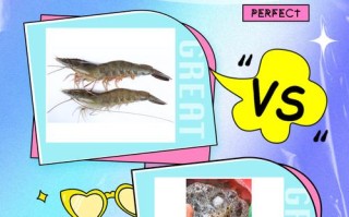 南美白对虾剪眼柄为何要这样操作？