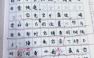 水产养殖暑期实践日记有何收获？