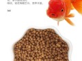 养才鱼喂什么饲料