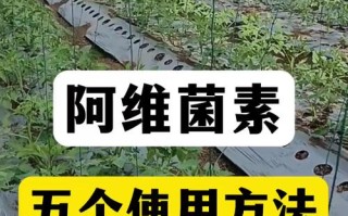 水产阿维菌素中毒后怎么解毒？