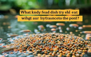 鱼苗下塘吃什么饲料