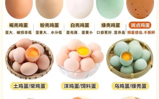 下绿壳蛋的鸡是什么品种