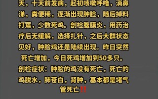 禽鸡鼻炎怎么治？最佳方法是什么？