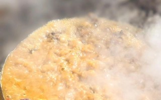 哪种鹅品种没有鹅瘤？