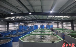 水产养殖有限公司如何发展？