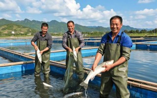 水产养殖哪些品种最赚钱？