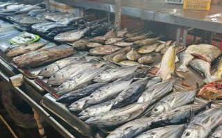 九江水产最大批发市场在哪？