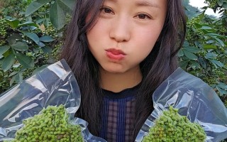 新疆的花椒价格是多少