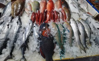 重庆南坪盛汇水产市场有何特色？