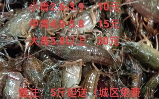 常州龙虾店价格是多少