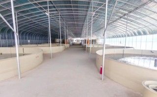 鼎巨大型水产养殖中心有何独特优势？