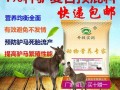 养毛驴喂什么饲料好