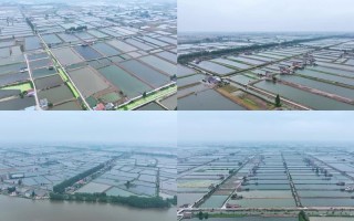 朝鲜淡水水产加工基地有何独特优势？