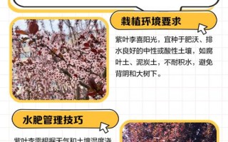 紫叶李整形修剪有哪些关键方法？
