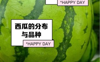 西瓜品种有哪些？农广天地为您介绍。