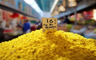 16年蒲公英价格多少