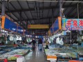 广西钦州水产批发市场