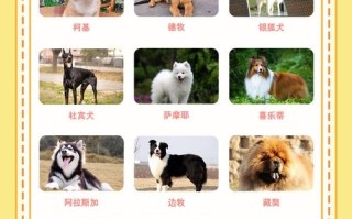 肉狗品种哪个更美味？