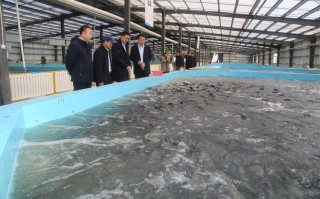 浙江水产饲料产业如何突破发展瓶颈？