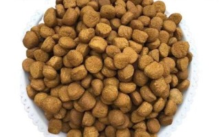 草鱼吃什么饲料长的快