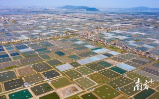 珠海斗门水产养殖有何特色与优势？