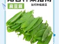 扁豆最佳种植时间是什么时候？