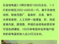 今年石龟多少价格