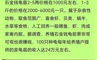 今年石龟多少价格