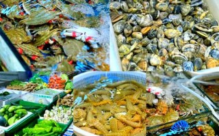 成都水产批发市场有哪些？