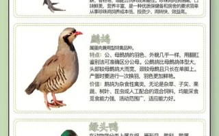 特种养殖品种有哪些？视频带你全了解！