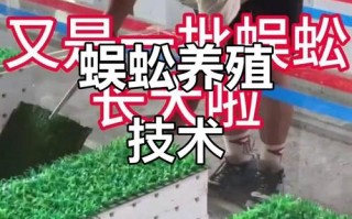 蜈蚣怎么养？视频教程教你方法。