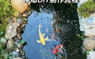 淡水鱼池塘修建方法有哪些要点？