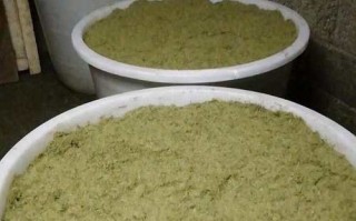 发酵青饲料养鸡怎么制作？