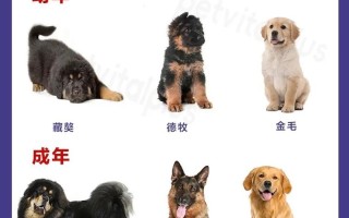 家畜品种如何形成与演变？