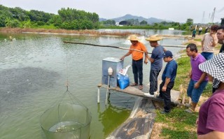 哪里可以学习养殖水产