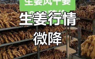 生姜种植价格是多少