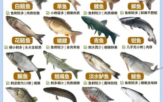 常见淡水鱼养殖品种有哪些？