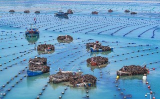 海洋渔业和水产业有何区别与联系？