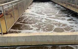 生物处理水产养殖废水有何高效新方法？