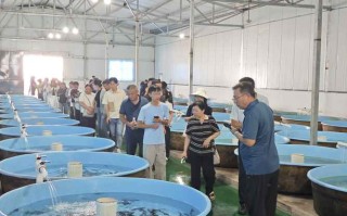 2025年水产养殖行业趋势如何？