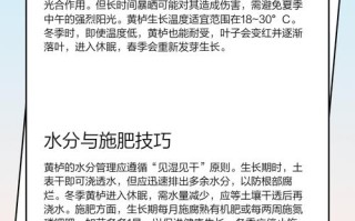 红叶怎么养？有哪些注意事项？