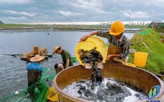 广西北海水产养殖基地有何特色？