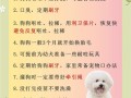 高效养肉狗有什么方法