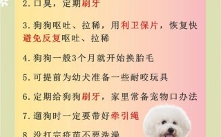 高效养肉狗有什么方法