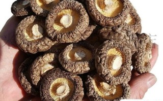 香菇目前价格是多少