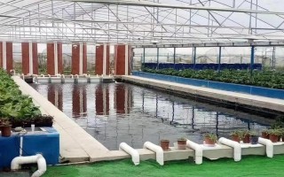 2025淡水小品种养殖前景如何？