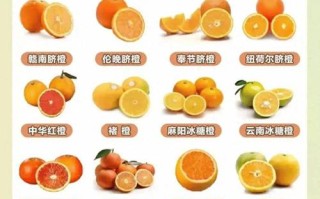 哪种脐橙品种最好吃？